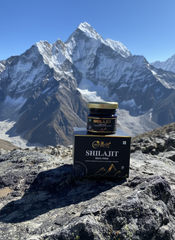 Shilajit Resin Form